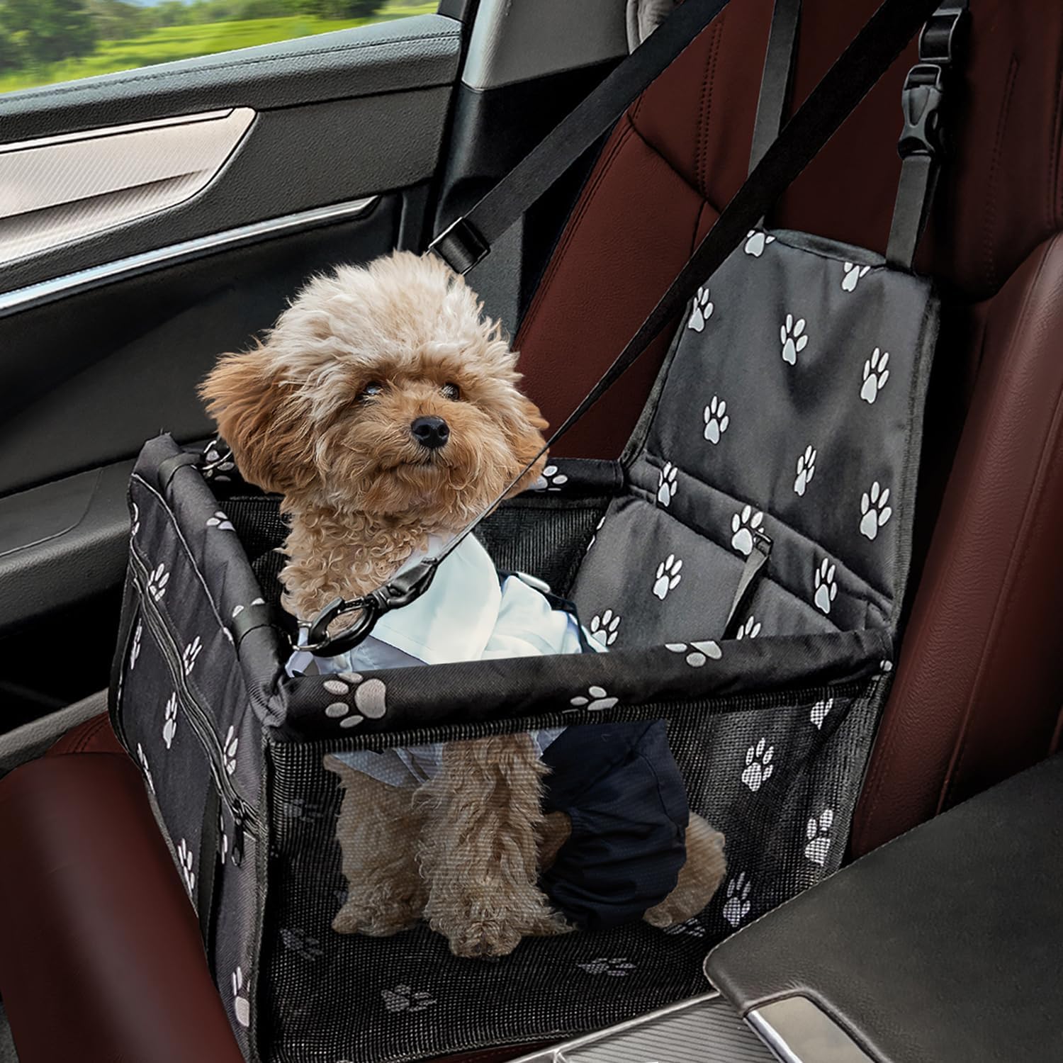Asiento de Coche